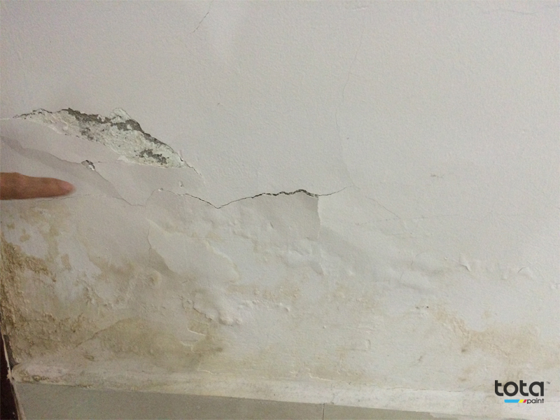 sơn tường nhà bị bong tróc